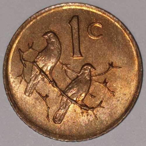 1986 - 1 CENT COIN (ONE CENT COIN) - RSA - BRONZE - KM#82 - BILINGUAL LEGEND - SPARROWS